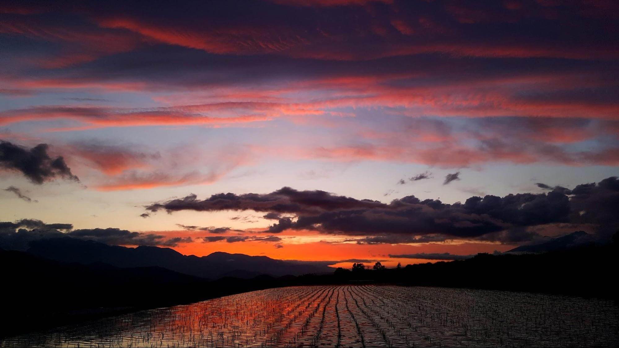 韮崎の田んぼに夕日が写っている写真